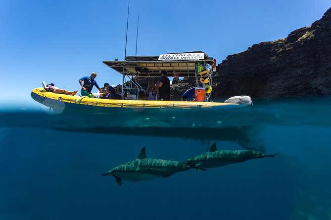 Lanai Deluxe Dolphin Adventure & 3 Snorkel Sites - Physical Requirements and Safety Tips