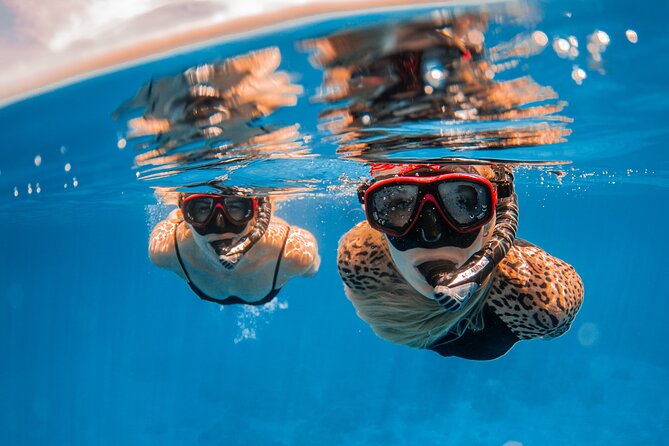 Lana'i Snorkel And Dolphin Quest with Maui Turtle Spot Tour - Pacing, Timing, and Weather Considerations