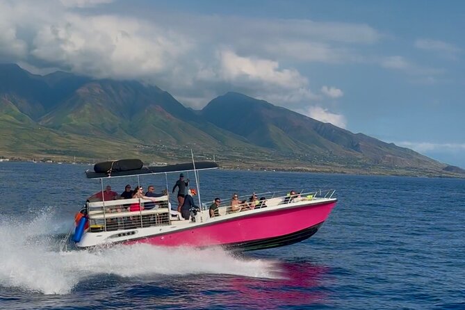 Lana'i Snorkel And Dolphin Quest with Maui Turtle Spot Tour - The Crew and Guides Expertise