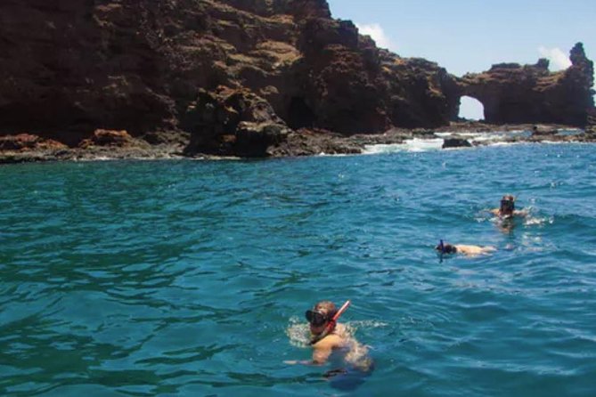 Lanai Snorkel and Dolphin Watch from Maalaea - The Lanai Snorkeling Experience in Detail