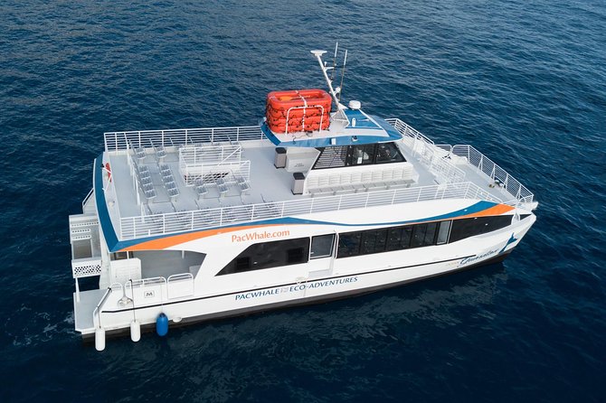 Lanai Snorkel and Dolphin Watch from Maalaea - Practical Tips for Participants