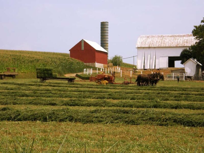 Lancaster: Amish Farmlands Guided Tour - Explore the Amish Farmlands in Lancaster with a 90-Minute Guided Tour