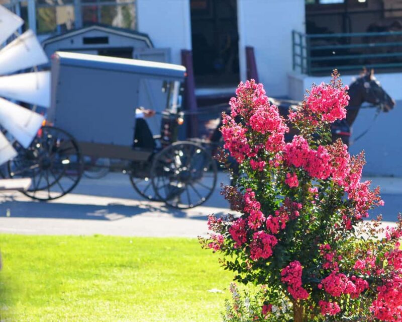 Lancaster: Amish Farmlands Guided Tour - Practical Tips for Tour Participants