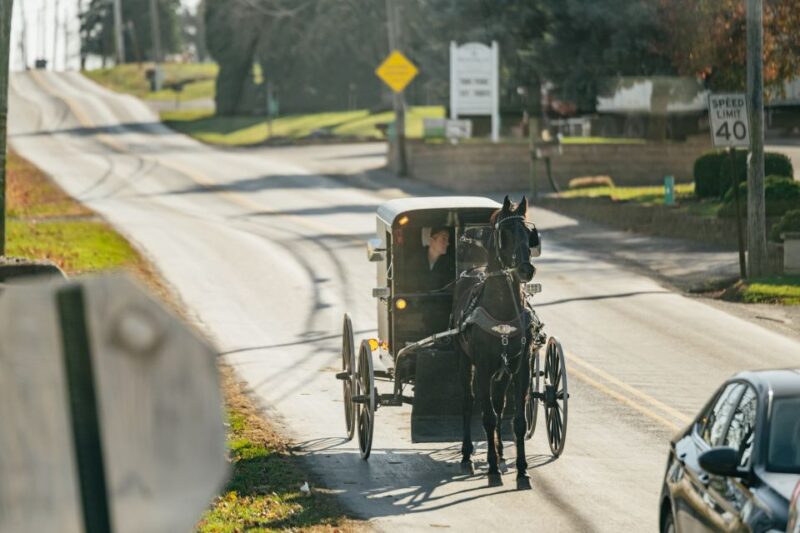 Lancaster: Amish Film, House, and Farmland Experience - What’s Not Included in the Tour