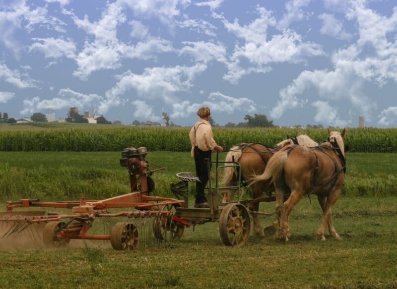 Lancaster County: Amish Farmlands, Museum Tour, Farm Visit - Exploring the 15-Acre Amish Farm