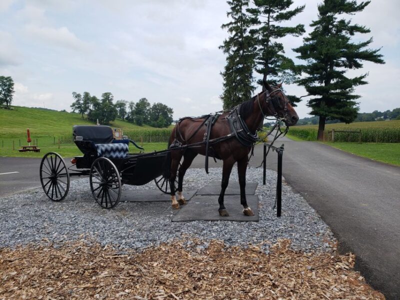 Lancaster: Downtown & Amish Country Authentic Lancaster Tour - Key Points