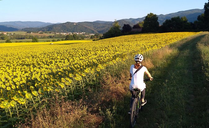 Land of painters - the origins of the Tuscan landscape - Exploring the Land of Painters: A Bike Tour Through Tuscanys Artistic Origins