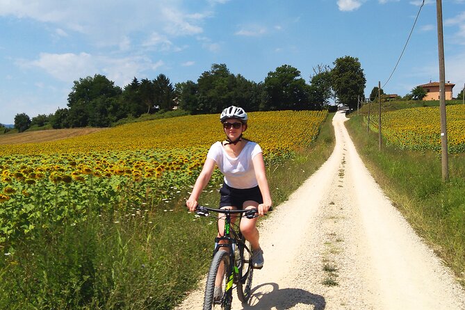 Land of painters - the origins of the Tuscan landscape - Key Points