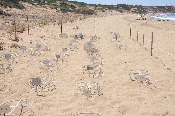 Land Rover Akamas Blue Lagoon Jeep Safari - Exploring the Baths of Aphrodite