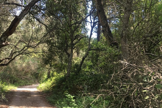 Land Rover Safari in Rhodes South Route - Visiting the Monastery and Panoramic Views