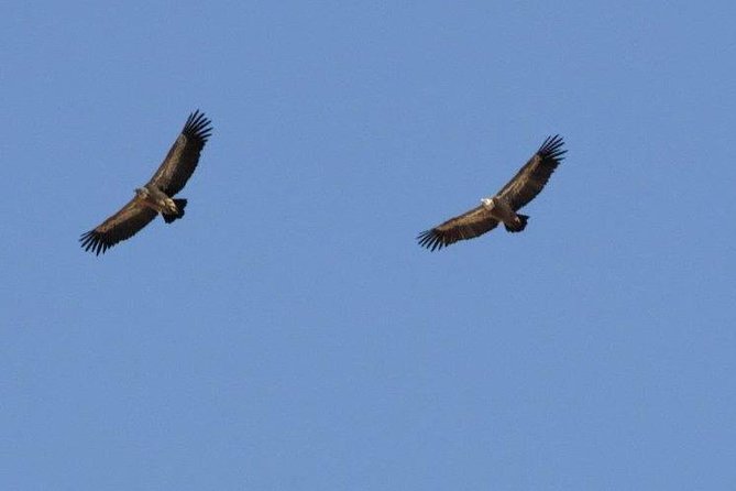 Land Rover Safari Katharo Route - Physical Requirements and Accessibility