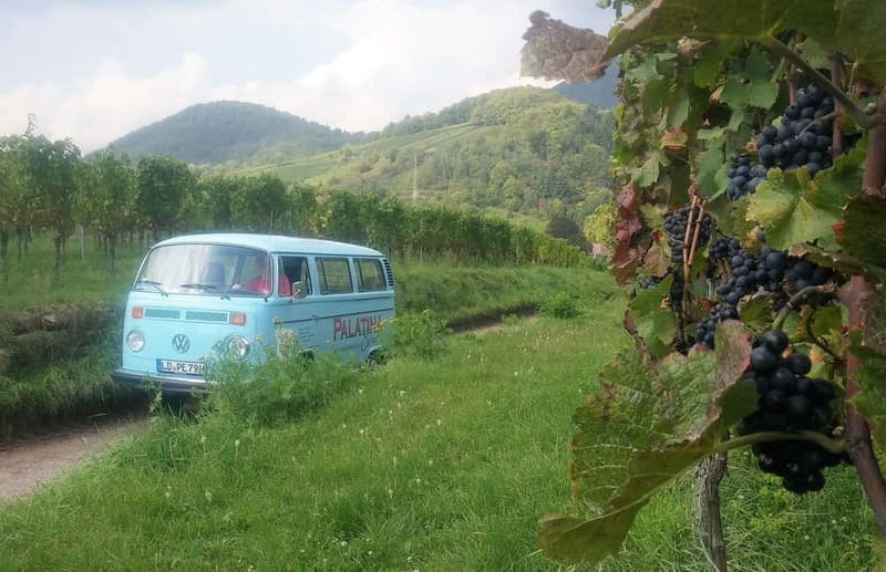 Landau: Tour in a vintage VW bus through the Palatinate wine country - Experience a Vintage VW Bus Tour Through Germany’s Palatinate Wine Country