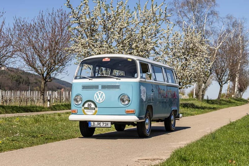 Landau: Tour in a vintage VW bus through the Palatinate wine country - Riding in a Classic Volkswagen Bus