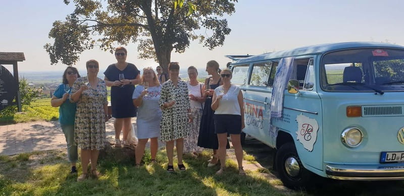 Landau: Tour in a vintage VW bus through the Palatinate wine country - Visit to the German Wine Gate in Schweigen-Rechtenbach