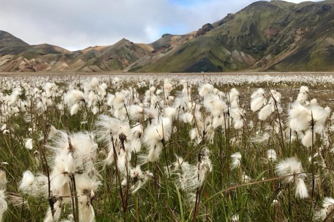 Landmannalaugar by Super Jeep - Key Points