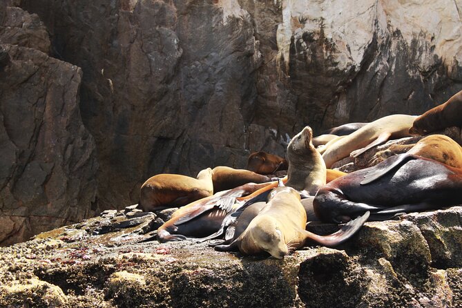 Land's End Tour in a Glass Bottom Boat - Pricing Details and Additional Costs