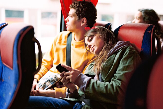 Landvetter Airport Bus Transfer Departure - Potential Drawbacks and Service Quality