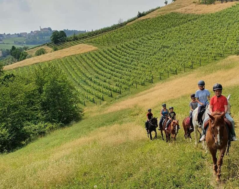 Langhe: Horse Riding in the Vineyards - Discover the Beauty of the Langhe Vineyards on Horseback