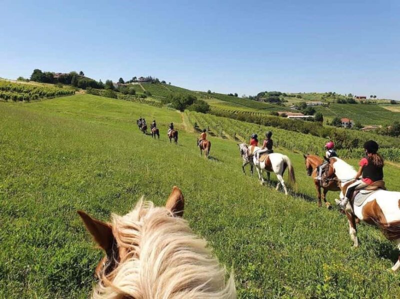 Langhe: Horse Riding in the Vineyards - What the Horse Riding Experience Entails