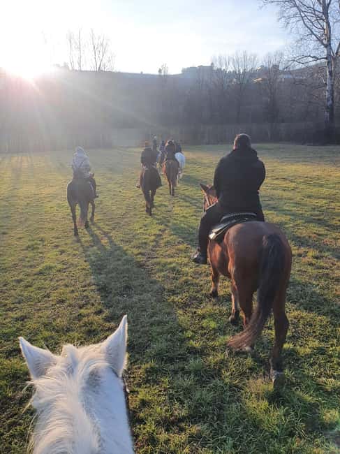 Langhe: Horse Riding in the Vineyards - What Makes This Tour Stand Out