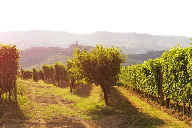 Langhe (Piedmont): Wine Tasting Experience - Tasting Four Top Wines Including Barolo