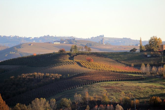 Langhe (Piedmont): Wine Tasting Experience - What’s Included and What’s Not