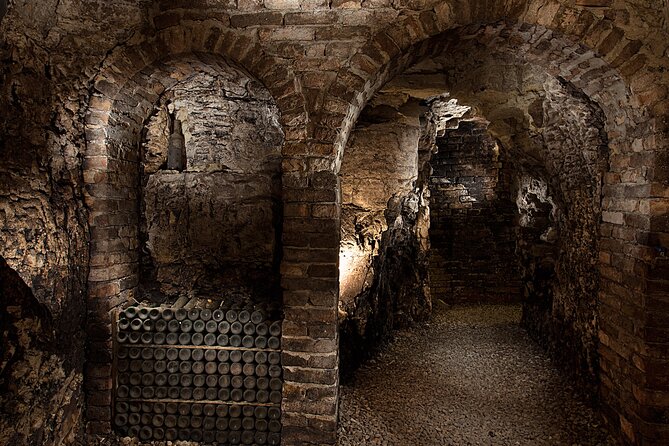 Langhe (Piedmont): Wine Tasting Experience - The Value of the Experience in Piedmont