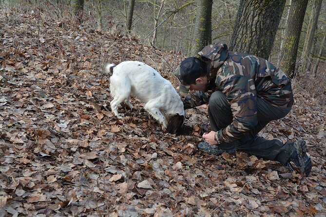 Langhe Truffle hunting Experience - The Truffle Hunt Experience and What You Might Find
