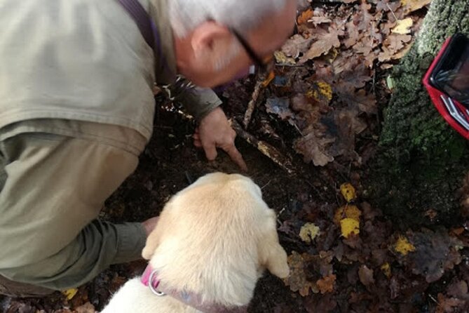 Langhe Truffle hunting Experience - Engaging Guides and Friendly Atmosphere