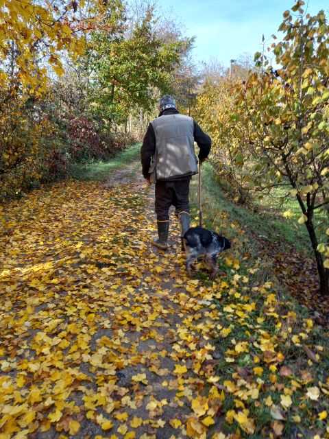 Langhe: Truffle Hunting Experience - Seasonal Timing and What to Expect in Autumn