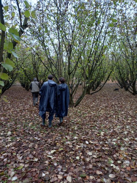 Langhe: Truffle Hunting Experience - The Walk Through Nature and Terrain
