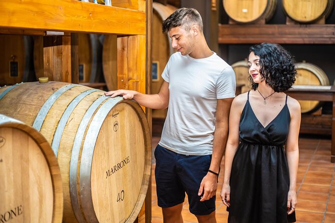 Langhe Vespa Electric Tour - Discover the Sustainable Vespa Adventure in the Heart of Piedmont