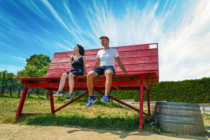 Langhe Vespa Electric Tour - The Experience and Overall Value