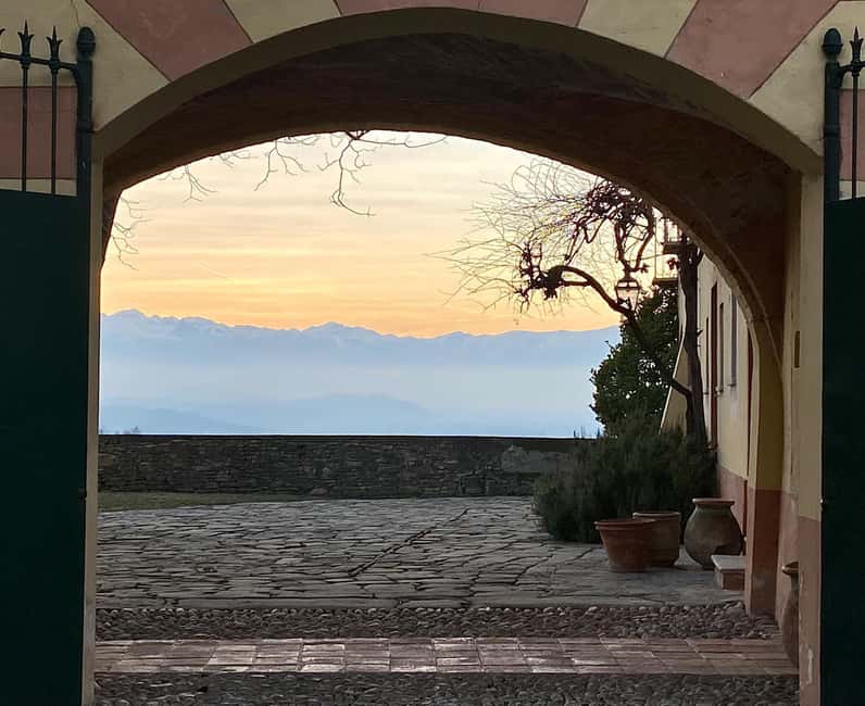 Langhe: Visit to the Vineyard and Historic Cellars with Tasting - Food and Drink Pairings: Authentic Flavors in Every Bite