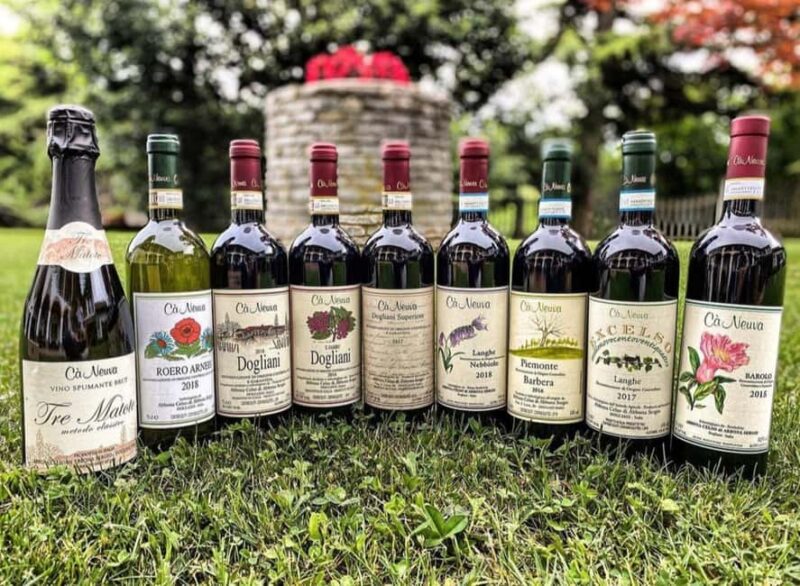 Langhe: Wine and Food Tasting Experience - Discover the Langhe: A Wine and Food Journey in Piedmont