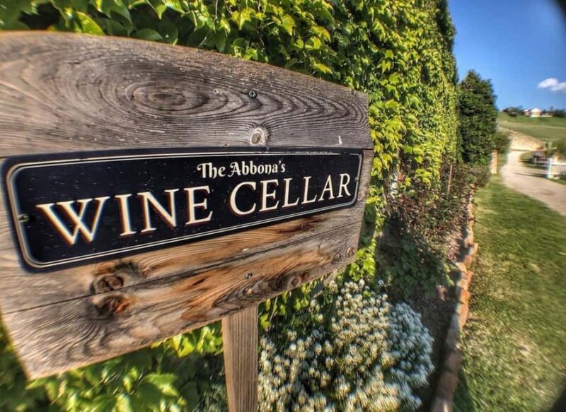 Langhe: Wine and Food Tasting Experience - Sampling 7 Regional Wines in Langhe