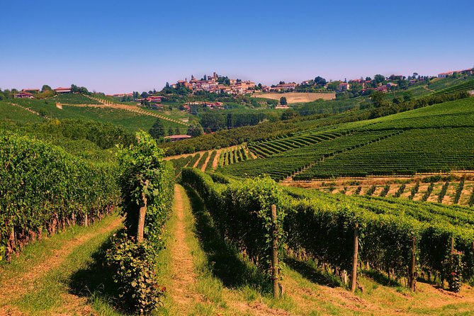 Langhe Wine & Food Tour from Turin: Barolo and More - Visiting the Langhe and Roero Regions of Alta Langa