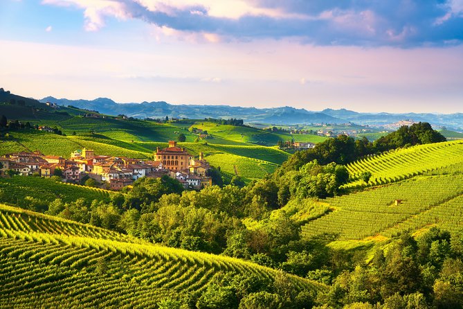 Langhe Wine & Food Tour from Turin: Barolo and More - In-Depth Look at Barolo Wines in the Heart of the Region