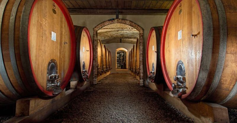 Langhe: Winery Tour and Wine Tasting - Experience a Taste of Langhe’s Finest Wines at a Cozy Local Winery