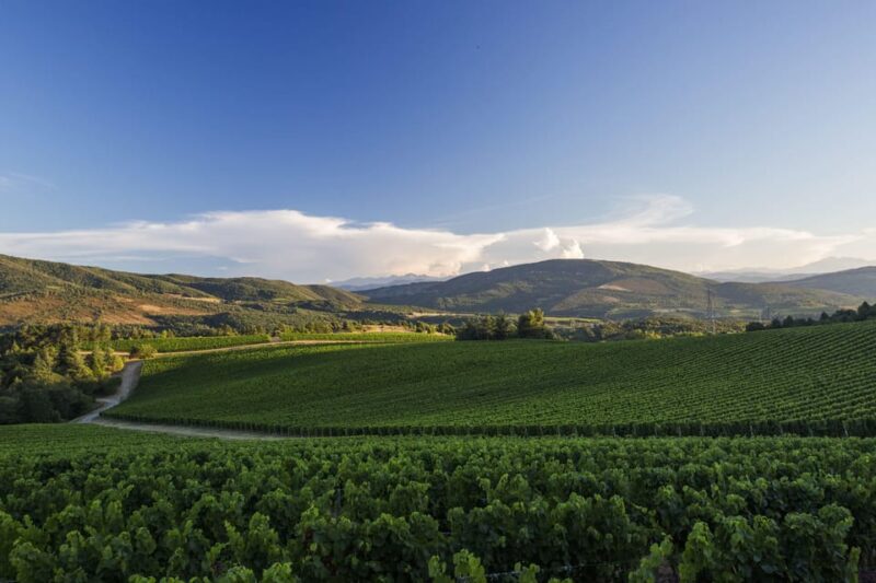 Languedoc: Heritage Tour & Tasting at Domaine de Baronarques - Accessibility and Logistics