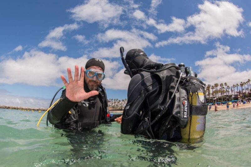 Lanzarote: 2-dive package in Playa Blanca - certified divers - Discover Lanzarote’s Underwater World with a 2-Dive Package in Playa Blanca