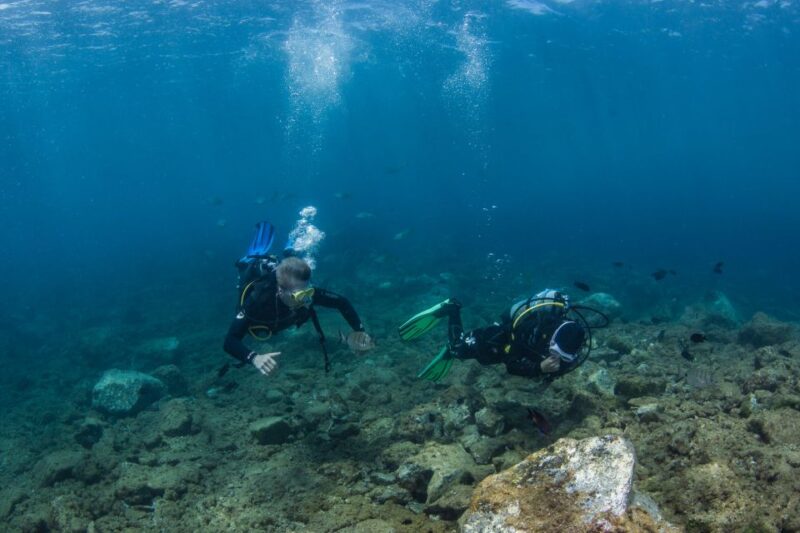 Lanzarote: 2-dive package in Playa Blanca - certified divers - Suitability for Certified Divers