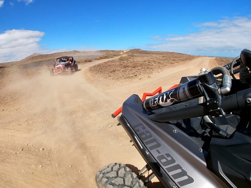 Lanzarote: 3-Hour Maverick Buggy Tour - Comparing This Tour to Similar Options
