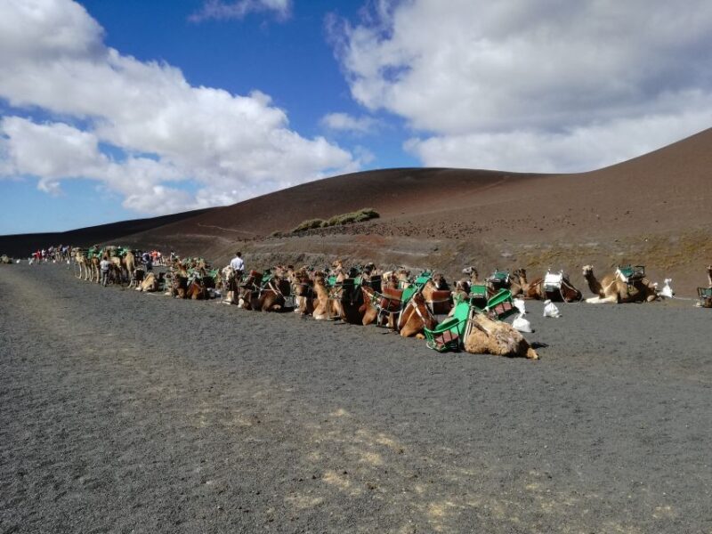 Lanzarote: 5-Hour Timanfaya National Park Southern Tour - Practical Aspects and Customer Feedback