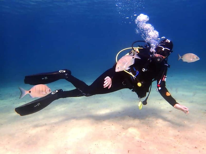 Lanzarote: Beginner Try Scuba Diving Costa Teguise (2 dives) - Exploring Lanzarote’s Marine Life Up Close