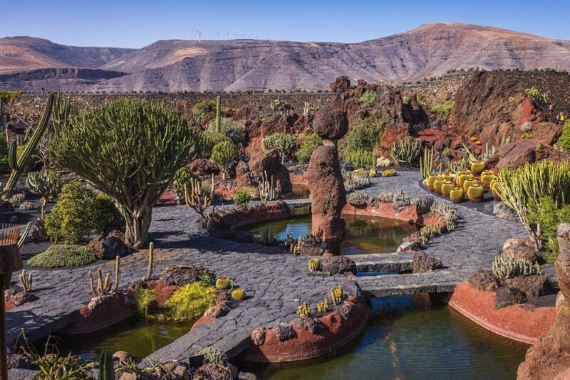 Lanzarote: César Manrique Art and Nature Private Tour - Comparing This Tour to Other Lanzarote Options