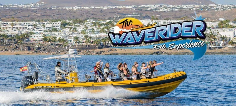 Lanzarote: Dolphin Watching by speedboat - The Small, Exclusive Boat Experience with Just 12 Passengers