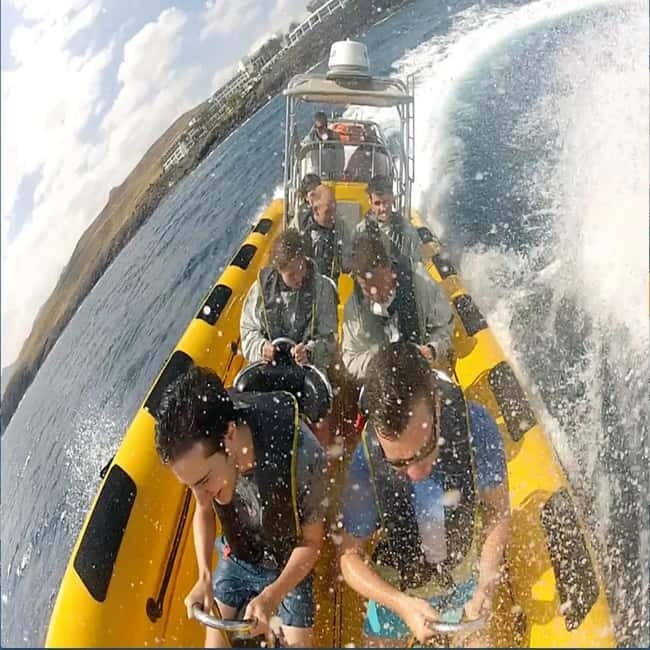 Lanzarote: Dolphin Watching by speedboat - Practical Details: Duration, Cost, and What’s Included