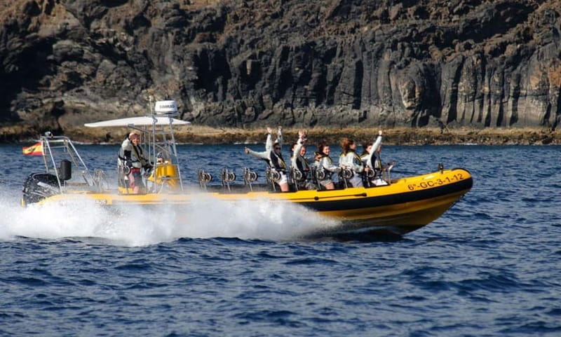 Lanzarote: Dolphin Watching by speedboat - Who Will Enjoy This Speedboat Marine Safari?