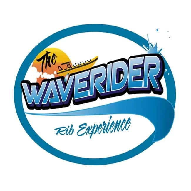 Lanzarote: Dolphin Watching by speedboat - Customer Feedback Highlights